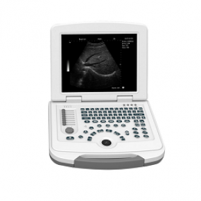 M213 Portable B/W Ultrasound Scanner